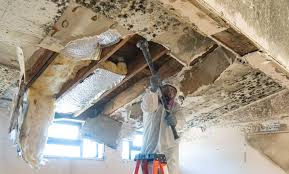 Best Emergency Mold Remediation  in Jennings, LA